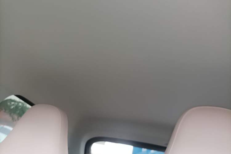 Used Leapmotor T03 2024 403 Comfort Edition Headliner