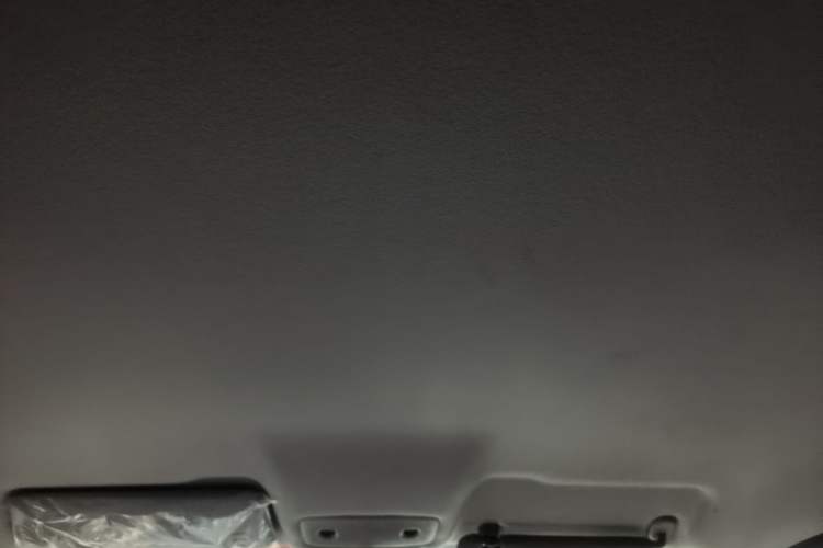 Used Leapmotor T03 2024 310 Comfort Edition Headliner