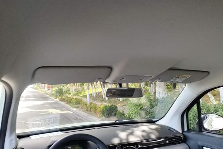 Used Leapmotor T03 2024 403 Comfort Edition Headliner