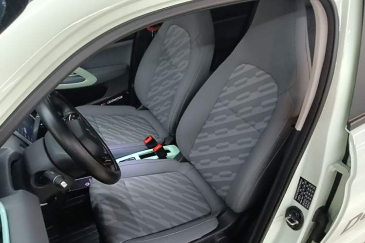 Used Leapmotor T03 2024 310 Comfort Edition Left Front Seat