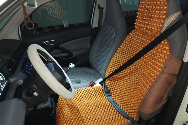 Used Leapmotor T03 2024 403 Comfort Edition Left Front Seat