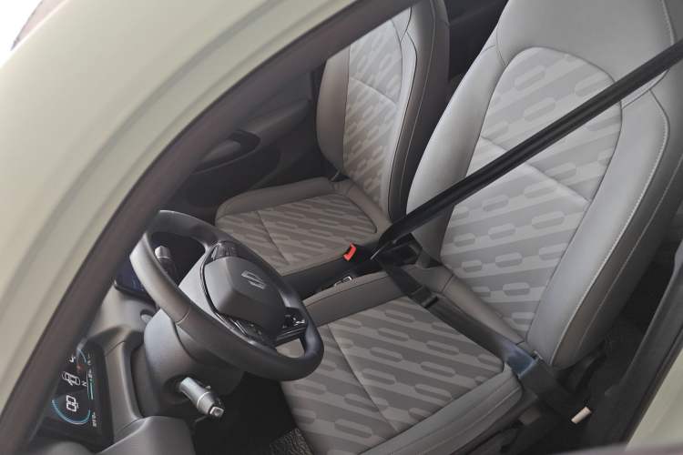 Used Leapmotor T03 2024 403 Comfort Edition Left Front Seat
