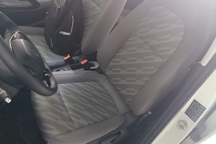 Used Leapmotor T03 2024 403 Comfort Edition Left Front Seat
