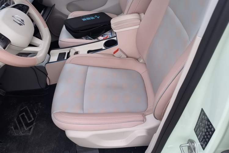 Used Leapmotor T03 2024 310 Comfort Edition Left Front Seat