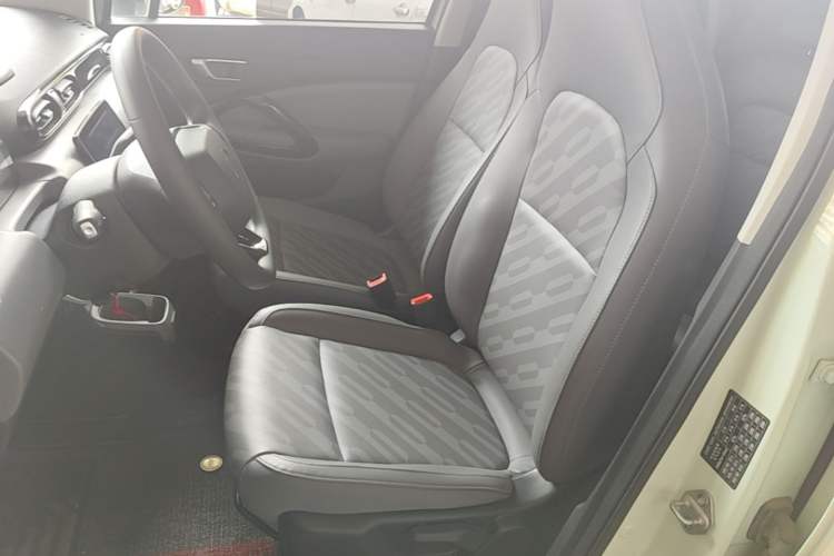 Used Leapmotor T03 2024 403 Comfort Edition Left Front Seat