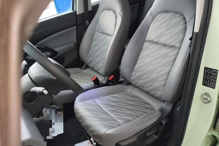 Used Leapmotor T03 2024 403 Comfort Edition Left Front Seat