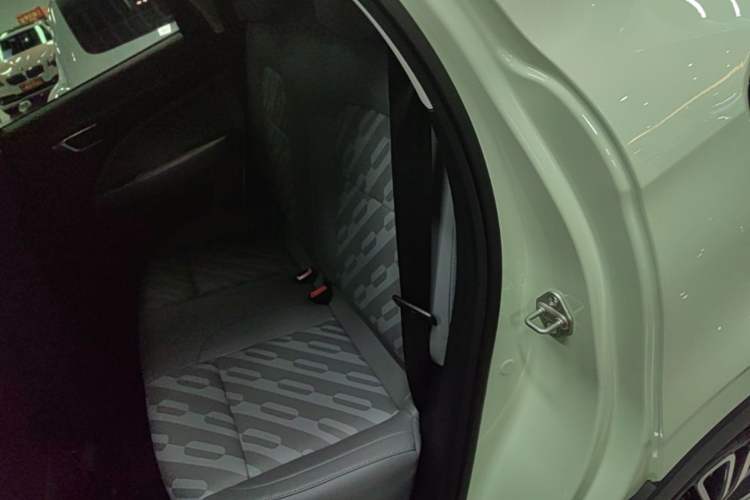 Used Leapmotor T03 2024 403 Comfort Edition Left Rear Seat