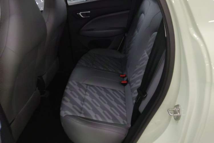 Used Leapmotor T03 2024 403 Comfort Edition Left Rear Seat