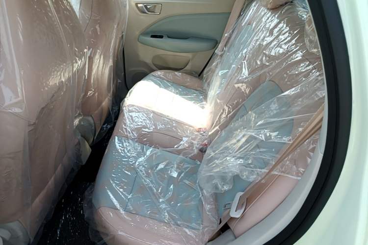 Used Leapmotor T03 2024 310 Comfort Edition Left Rear Seat