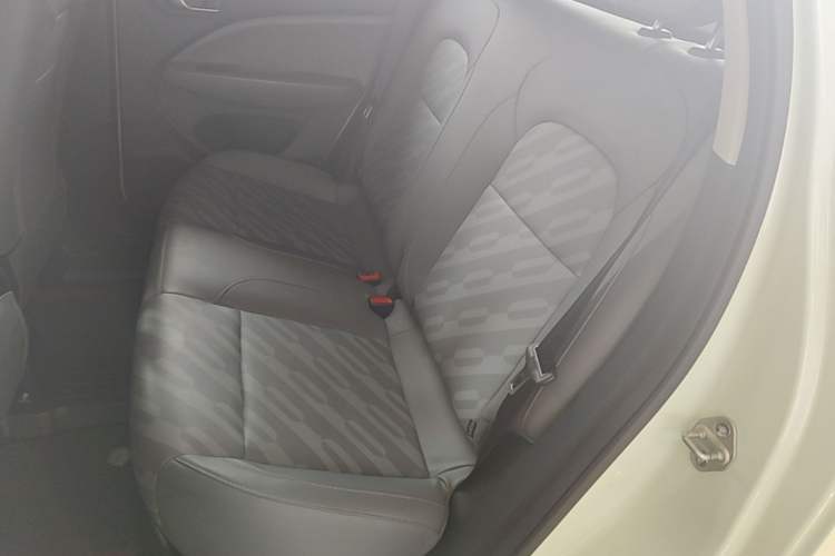 Used Leapmotor T03 2024 403 Comfort Edition Left Rear Seat