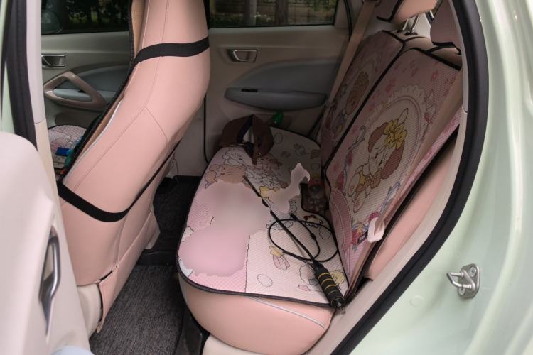 Used Leapmotor T03 2024 310 Comfort Edition Left Rear Seat