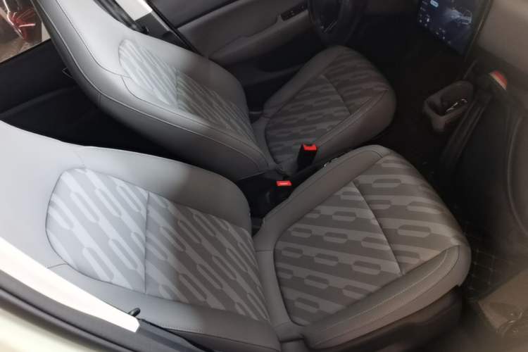 Used Leapmotor T03 2024 310 Comfort Edition Right Front Seat