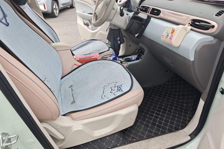 Used Leapmotor T03 2024 310 Comfort Edition Right Front Seat