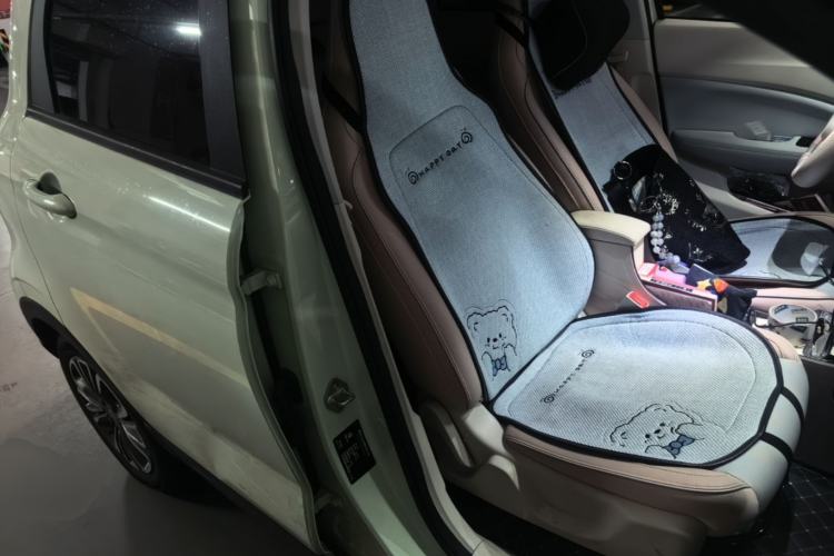 Used Leapmotor T03 2024 310 Comfort Edition Right Front Seat