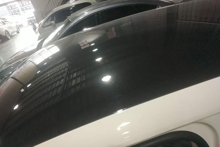 Used Leapmotor T03 2024 403 Comfort Edition Roof
