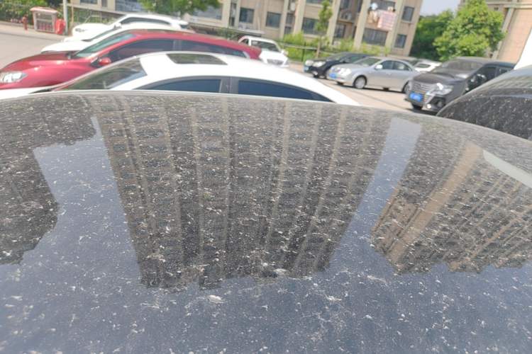 Used Leapmotor T03 2024 403 Comfort Edition Roof
