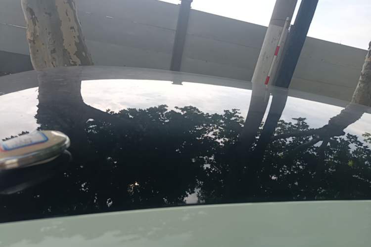 Used Leapmotor T03 2024 310 Comfort Edition Roof