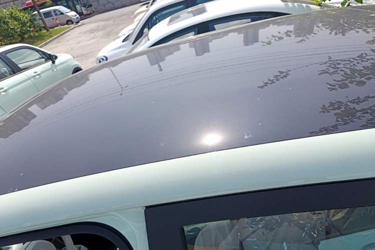 Used Leapmotor T03 2024 310 Comfort Edition Roof
