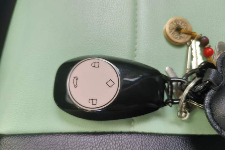 Used Leapmotor T03 2024 310 Comfort Edition Vehicle Key