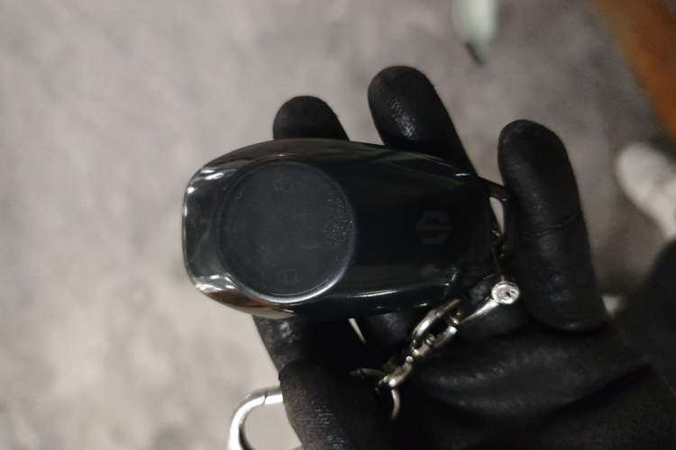 Used Leapmotor T03 2024 403 Comfort Edition Vehicle Key