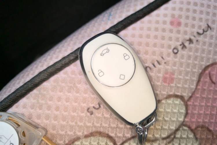 Used Leapmotor T03 2024 310 Comfort Edition Vehicle Key
