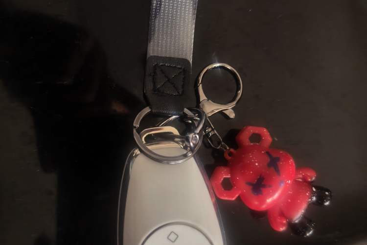 Used Leapmotor T03 2024 310 Comfort Edition Vehicle Key
