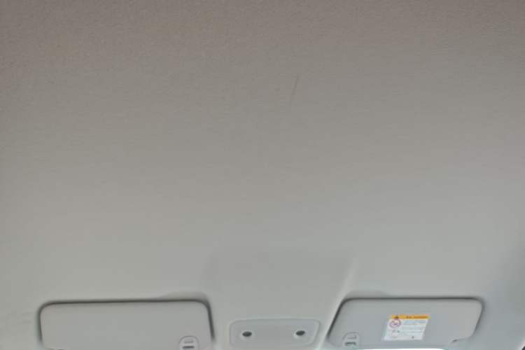 Used Leapmotor T03 2024 310 Comfort Edition Headliner