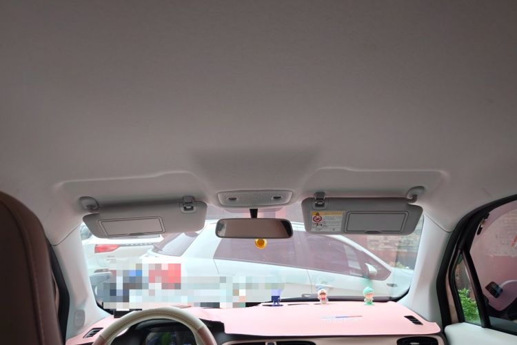 Used Leapmotor T03 2024 200 Lite Edition Headliner