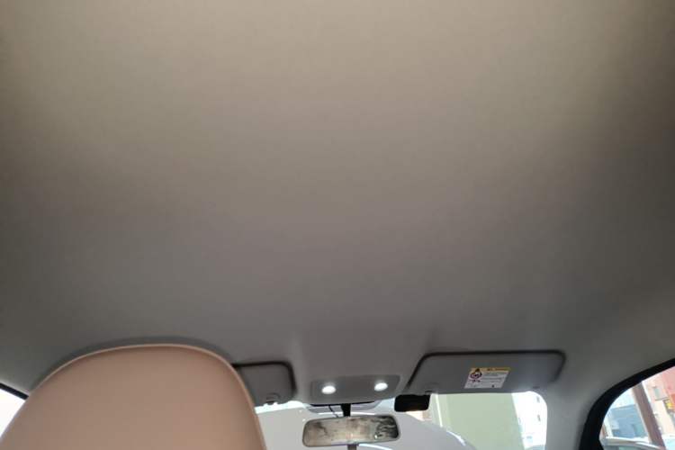 Used Leapmotor T03 2024 310 Comfort Edition Headliner