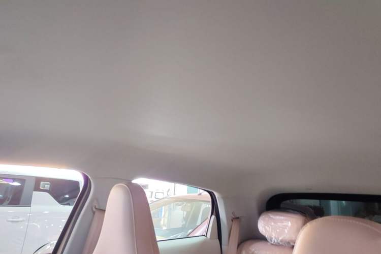 Used Leapmotor T03 2024 310 Comfort Edition Headliner