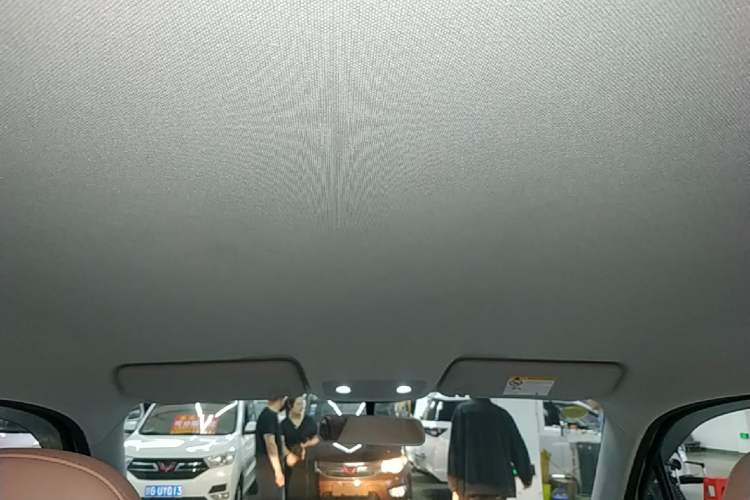 Used Leapmotor T03 2024 310 Comfort Edition Headliner