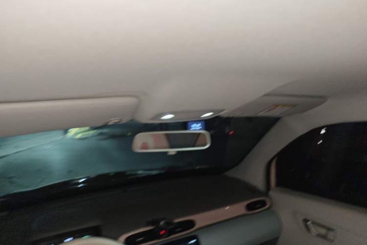 Used Leapmotor T03 2024 310 Comfort Edition Headliner