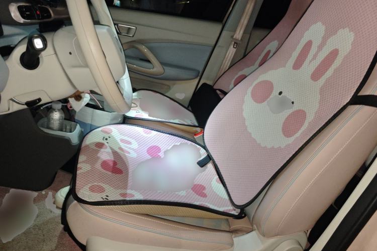 Used Leapmotor T03 2024 310 Comfort Edition Left Front Seat