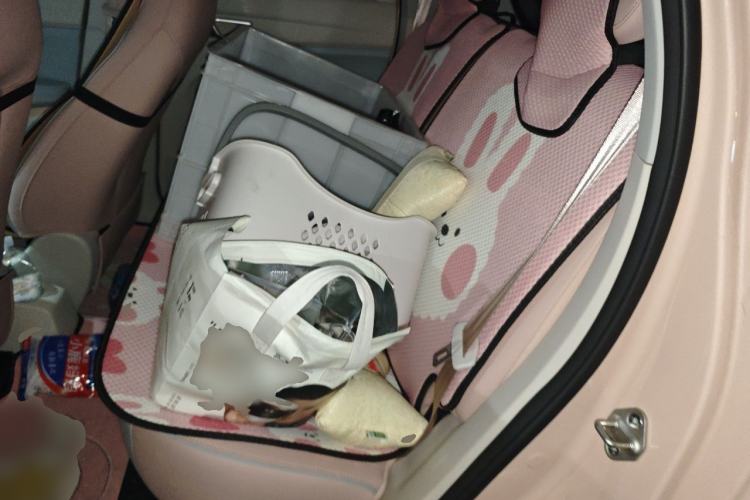 Used Leapmotor T03 2024 310 Comfort Edition Left Rear Seat