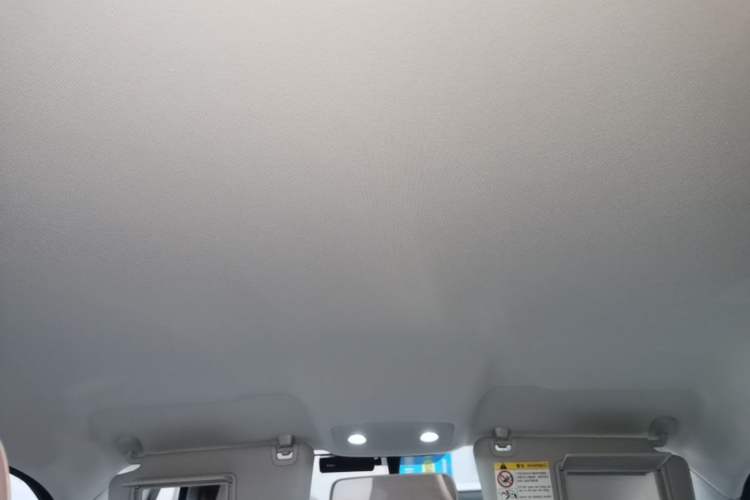 Used Leapmotor T03 2024 310 Comfort Edition Headliner