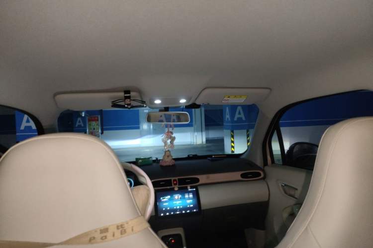 Used Leapmotor T03 2024 200 Lite Edition Headliner