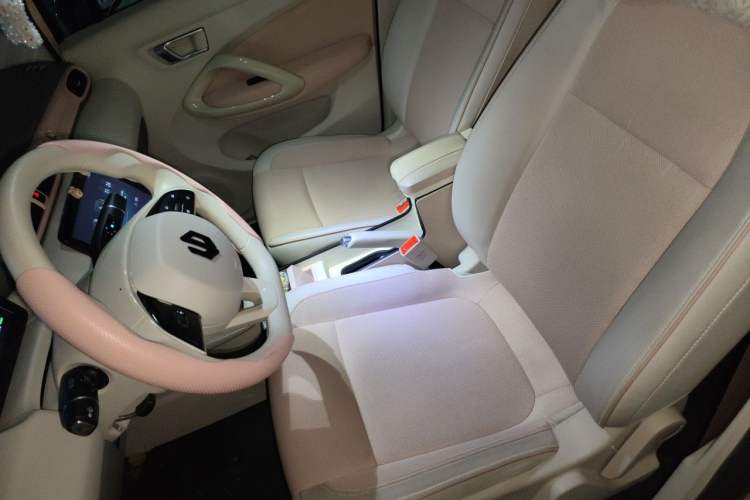 Used Leapmotor T03 2024 200 Lite Edition Left Front Seat