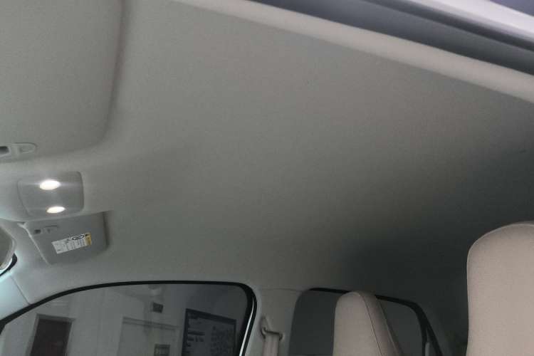 Used Leapmotor T03 2024 310 Comfort Edition Headliner