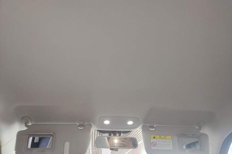 Used Leapmotor T03 2024 200 Lite Edition Headliner