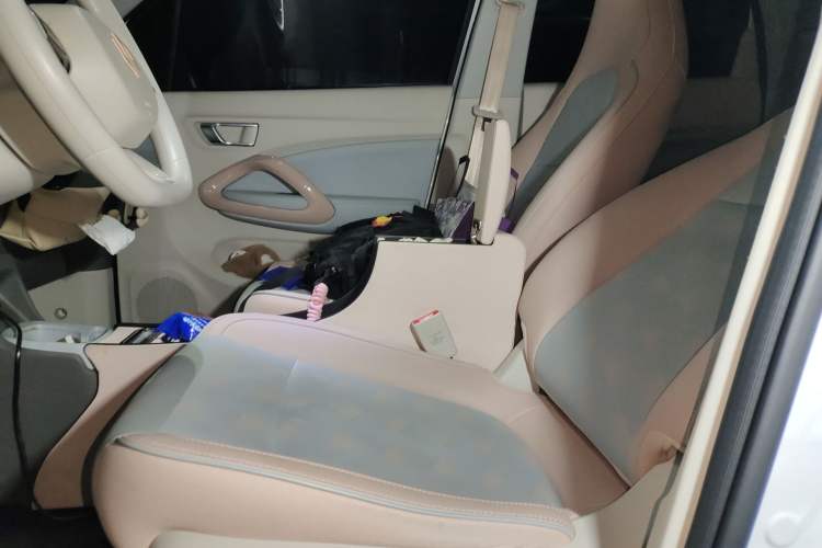 Used Leapmotor T03 2024 310 Comfort Edition Left Front Seat