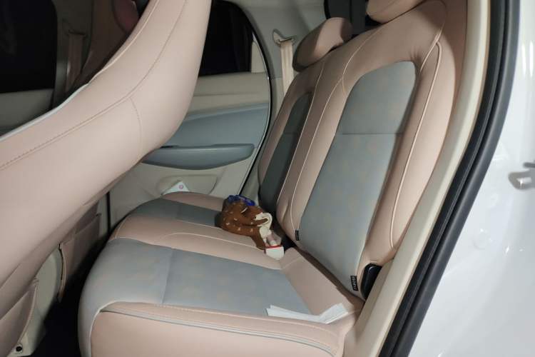 Used Leapmotor T03 2024 310 Comfort Edition Left Rear Seat