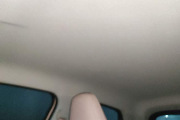 Used Leapmotor T03 2024 403 Comfort Edition Headliner