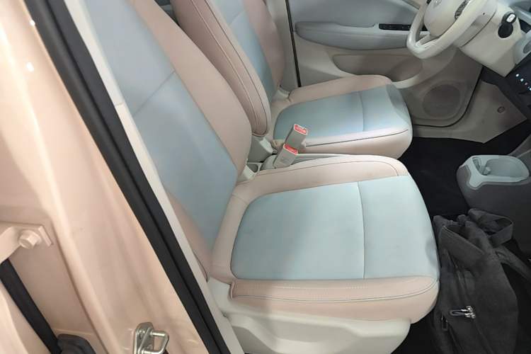 Used Leapmotor T03 2024 310 Comfort Edition Right Front Seat
