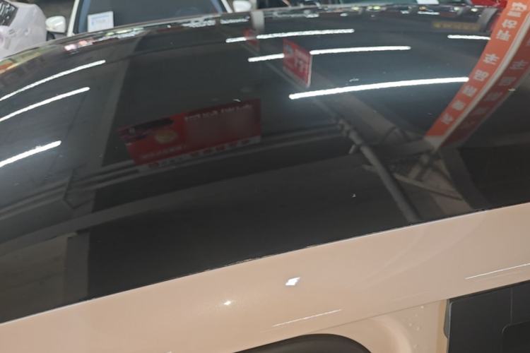 Used Leapmotor T03 2024 310 Comfort Edition Roof
