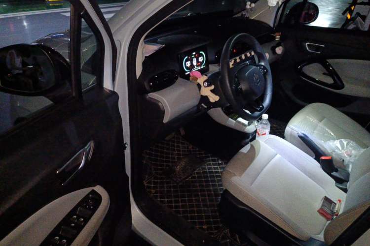 Used Leapmotor T03 2024 200 Lite Edition Driver Seat