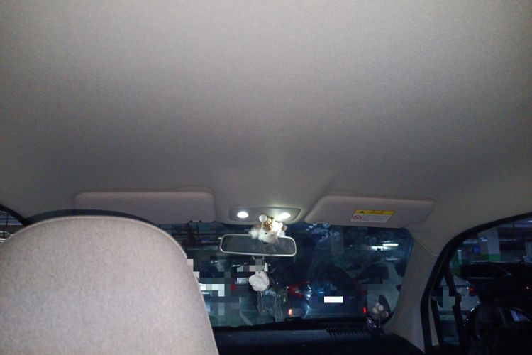 Used Leapmotor T03 2024 200 Lite Edition Headliner