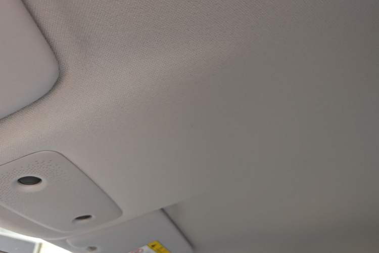 Used Leapmotor T03 2024 200 Lite Edition Headliner