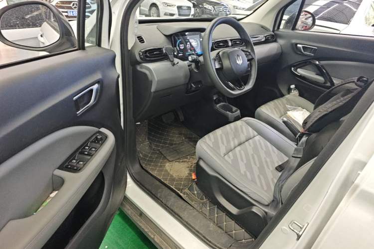 Used Leapmotor T03 2024 200 Lite Edition Driver Seat