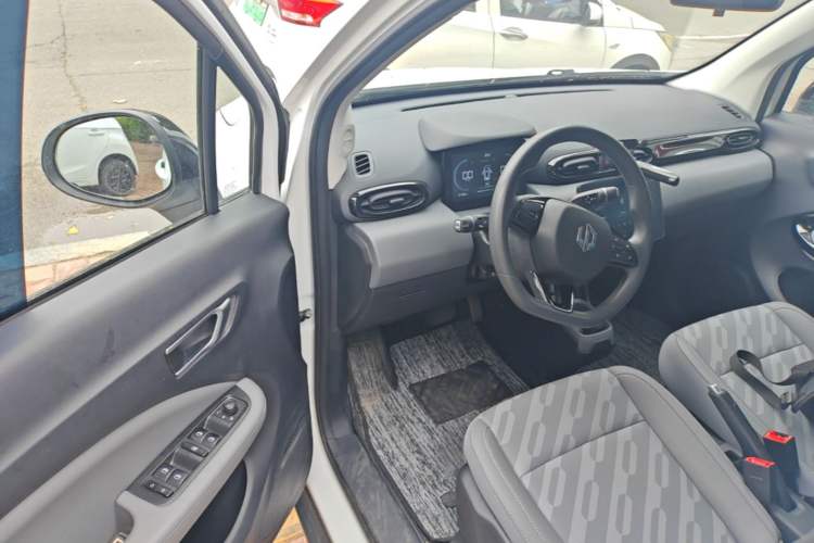 Used Leapmotor T03 2024 200 Lite Edition Driver Seat