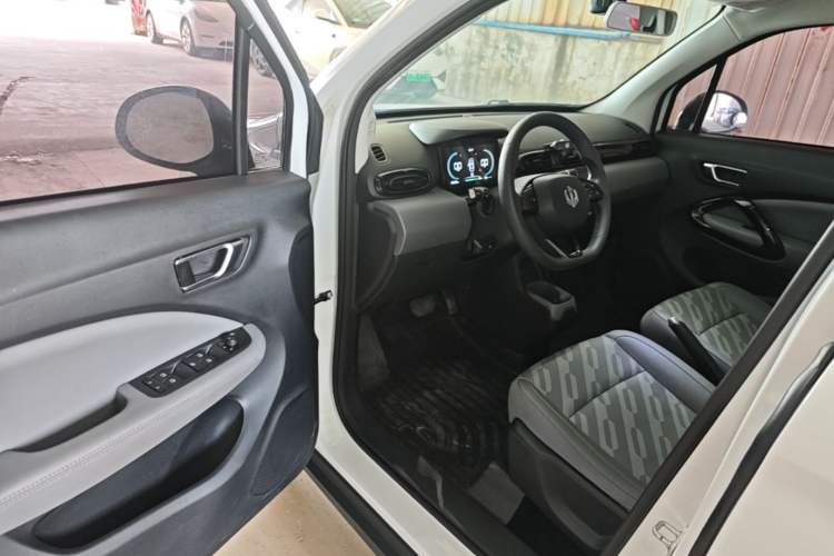 Used Leapmotor T03 2024 200 Lite Edition Driver Seat